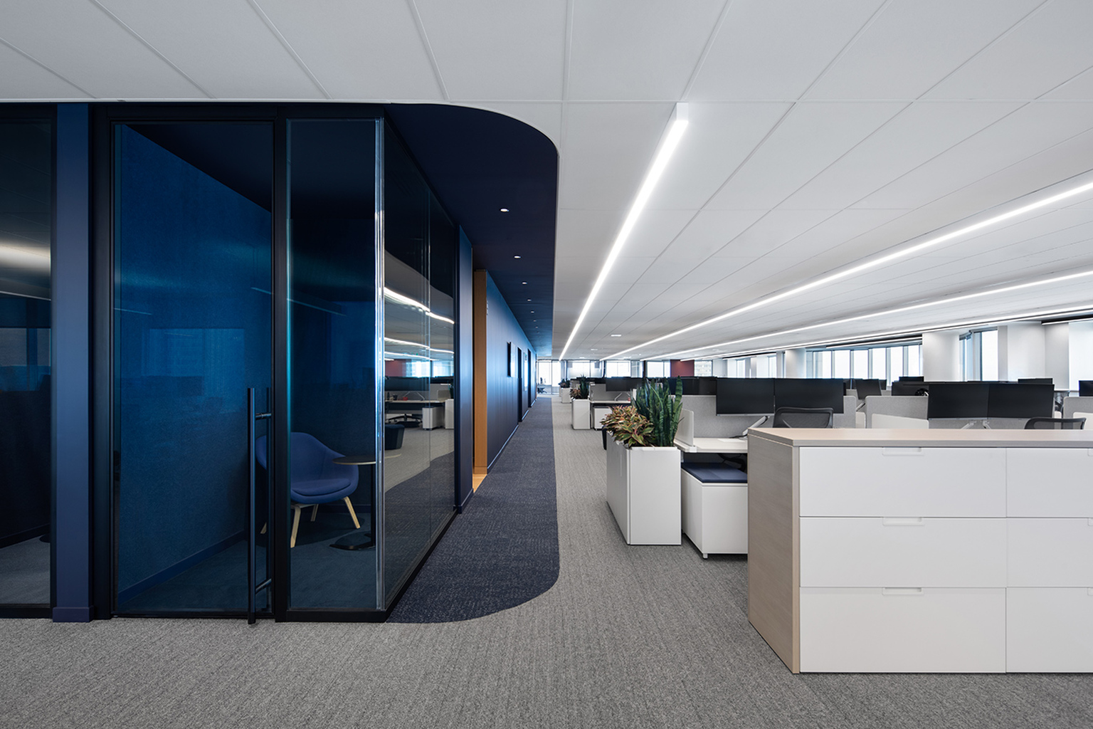 image - FINO: Rich with Variety 